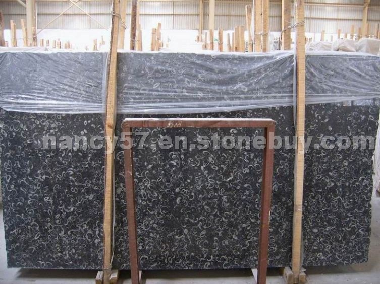 Moroccan Fossile Black Slabs