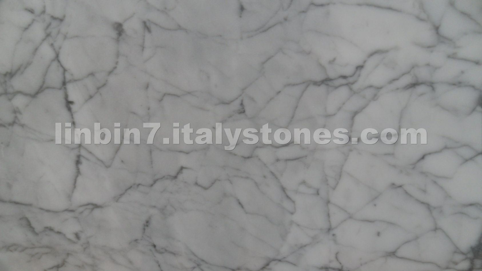 Bianco Carrara Venato