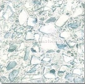 Rustic Floor Tile (F1048)