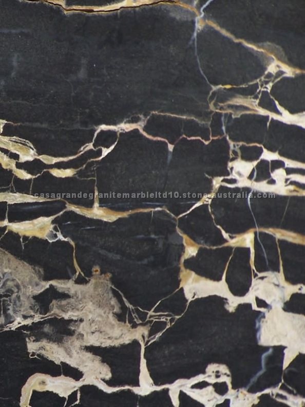 Austral Gold Black Marble
