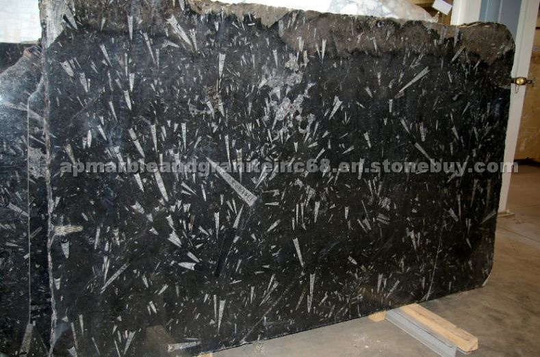 Fossil Black marble slabs