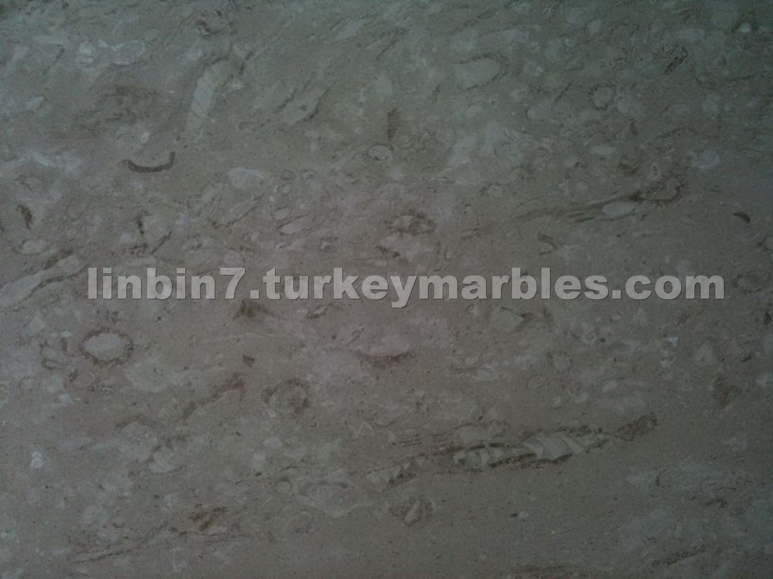 White Mushroom/ BEIJIN