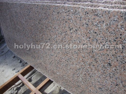 Xili red-D slabs granites