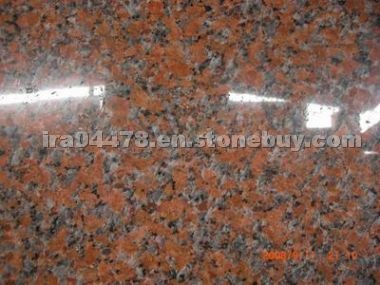 G 562 MAPL RED