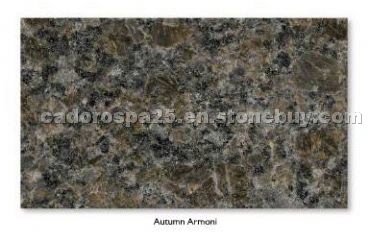 Autumn Armony Granite