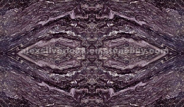 VIOLET BUTTERFLY