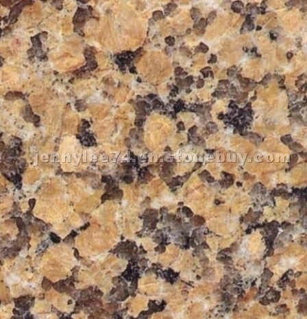 Chrysanthemum Yellow granite