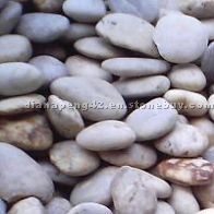 Pebble P009