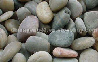 Pebble P007