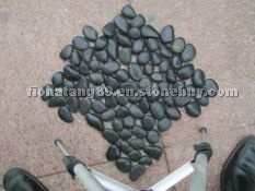 Black Pebble With Net