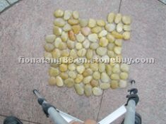 Yellow Pebble With Net (Pebble Mosaic / Paving Sto