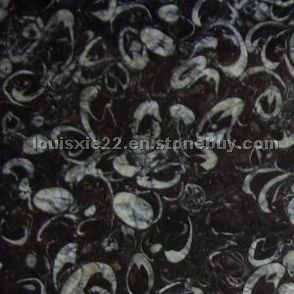 Seashell marble