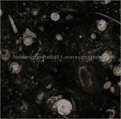 Pietra Di Erfoud marble