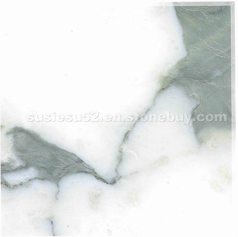 Arabescato Corchia Marble