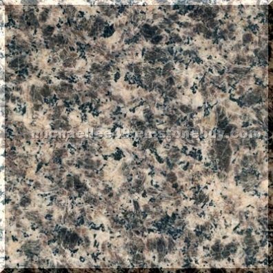 Leopard Skin Granite