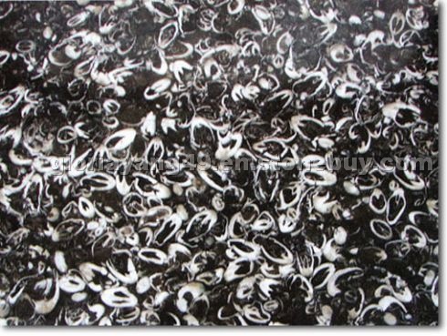 Sea shell shape marble