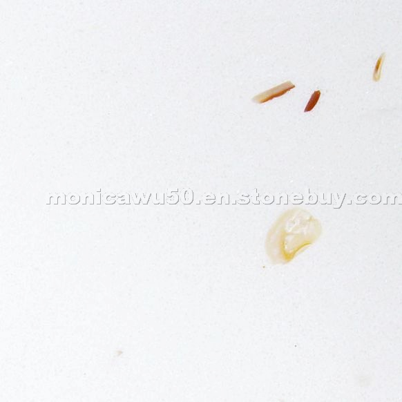 Pearl White Agglomerate Marble with Shells - BM100