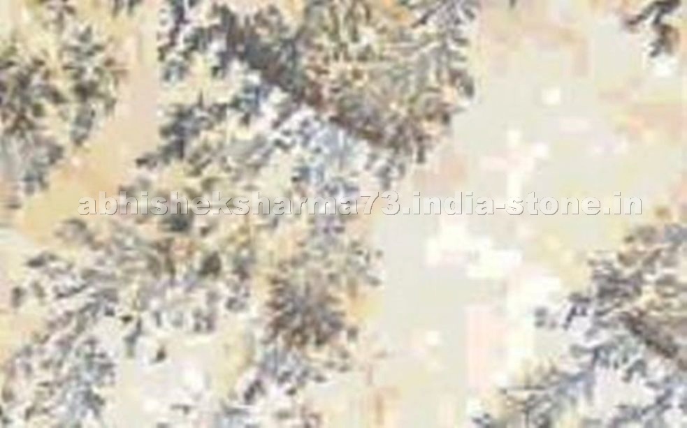 Fossil Sandstone