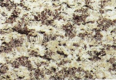 Polished Granite Tile