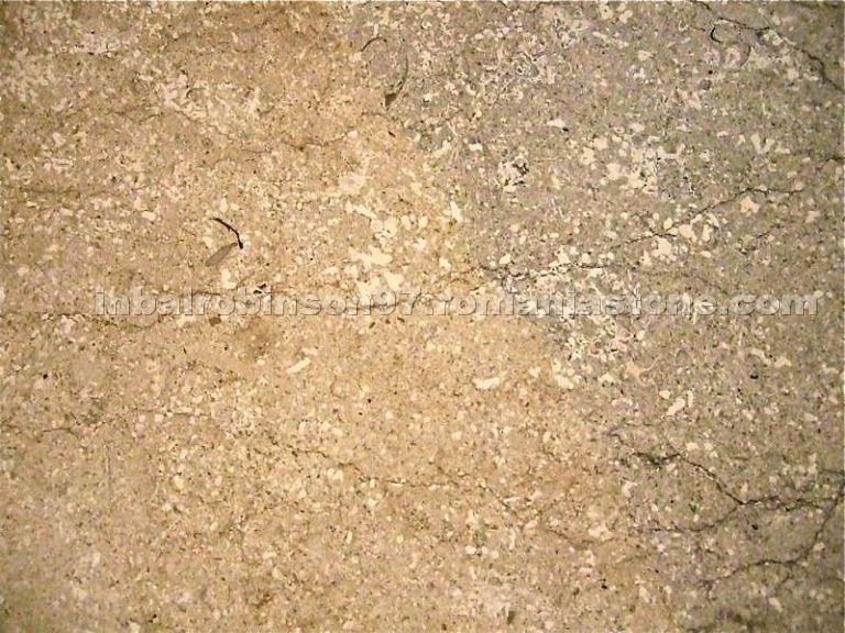 Limestone slabs - Transylvania (Karina) Bicolor