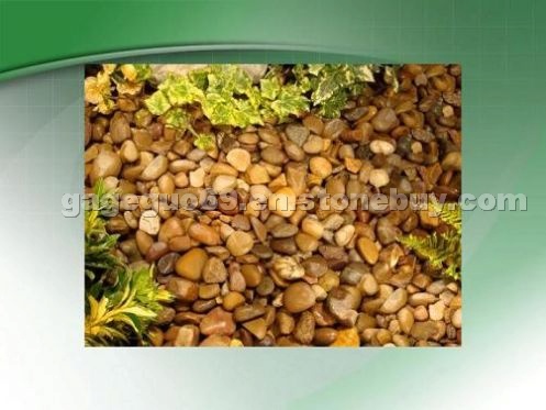 garden pebble stone garden pebble stone