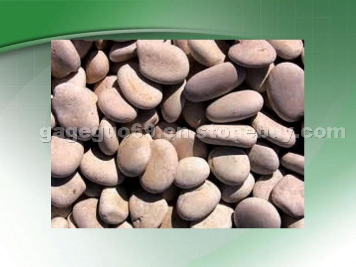 decorative pebble stone decorative pebble stone