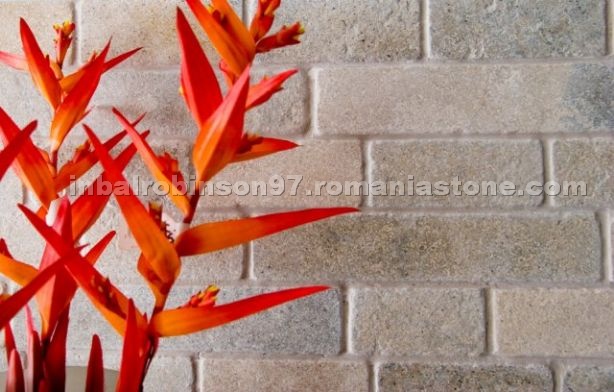 Grey Limestone Tiles - Transylvania (Karina) Mix