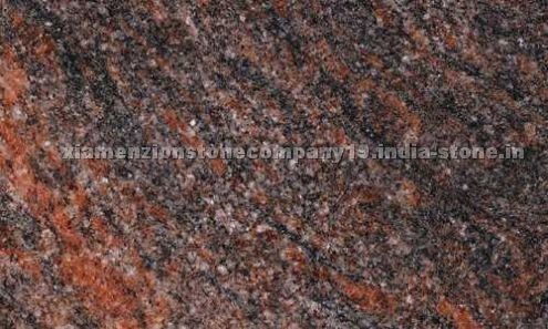 Himalayan Blue Himalayan Blue