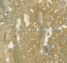 Noce Travertine