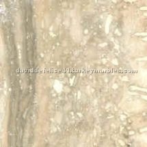 Silver Travertine