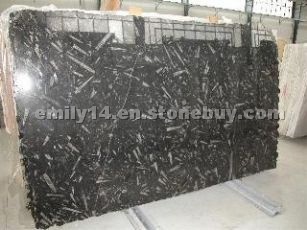 Black Fossil Marble Slabs