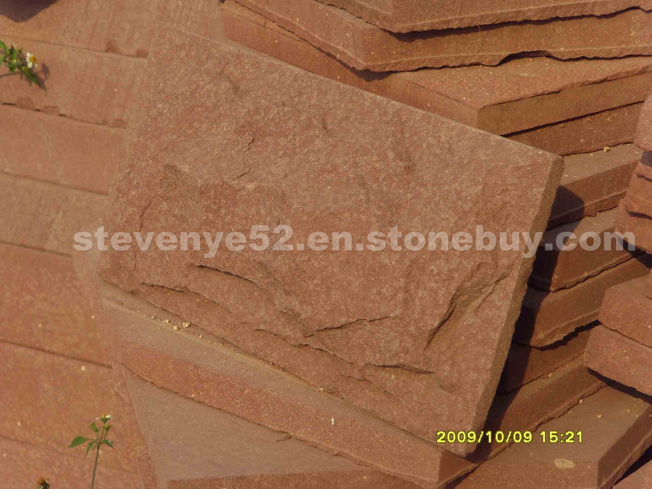 Brown sandstone mushroom