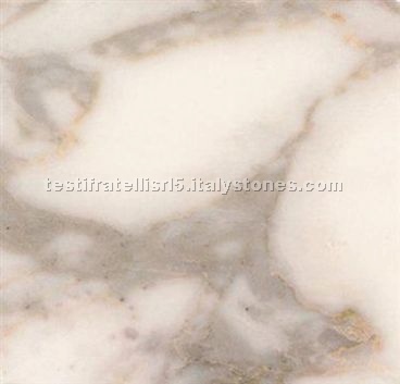 Calacatta Vagli Oro marble