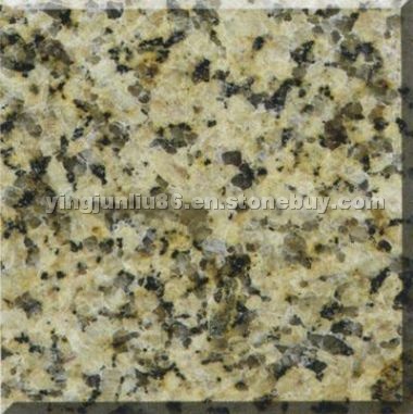 Chryanthemum Yellow Granite Chryanthemum Yellow Granite