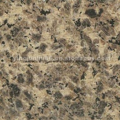 Leopard Skin Miyi Granite