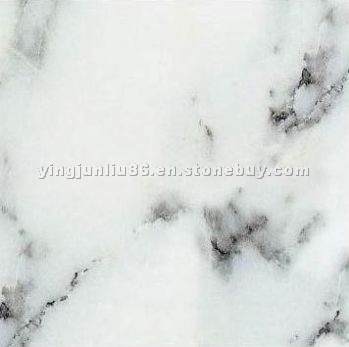 Arabescato Cervaiole Marble