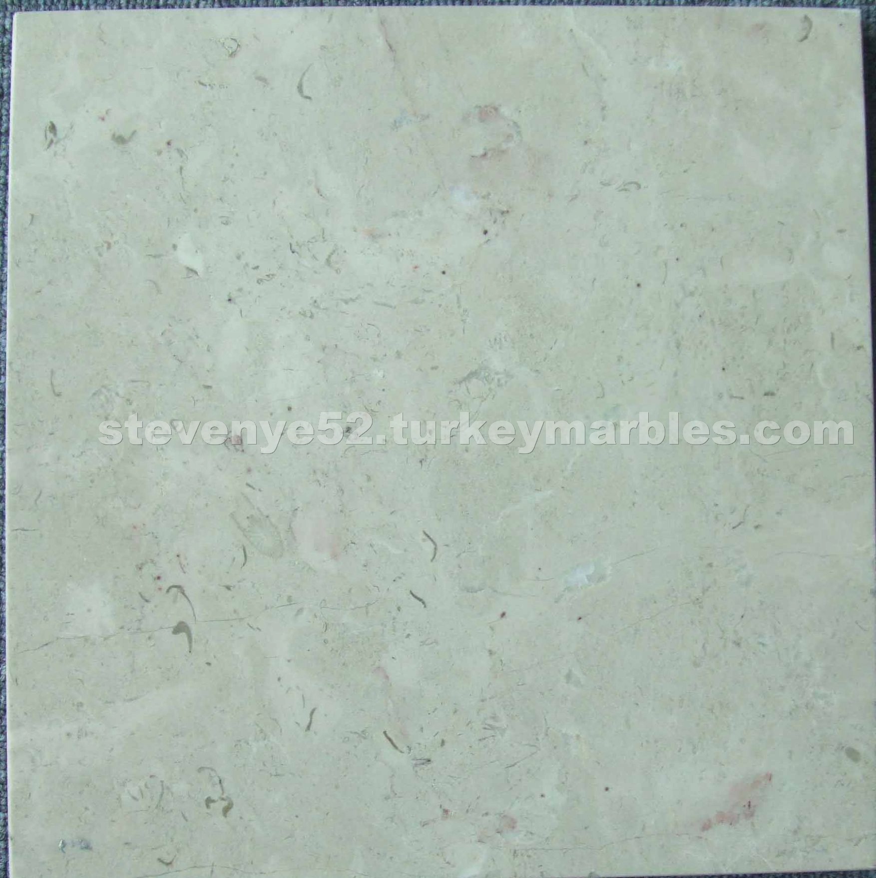 Beige Marble Beige Marble
