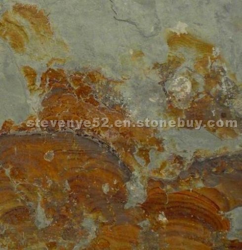 Green rust slate Green rust slate