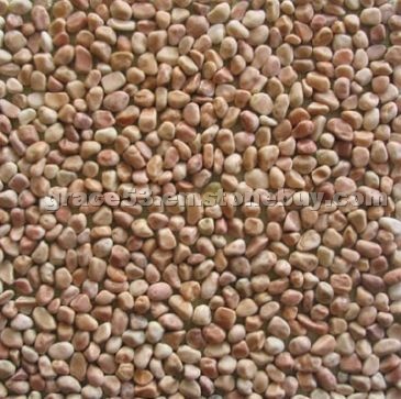 Pebble Stone