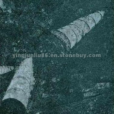 Nero Galassia Fossile Marble