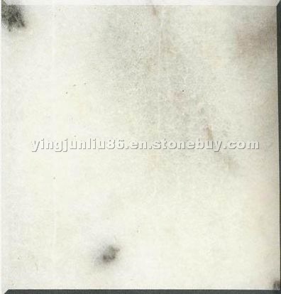 Polished White Marble