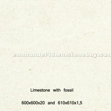 Limestone with fossil