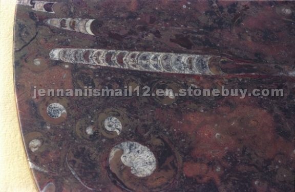 Table of Fossile Brown Dark