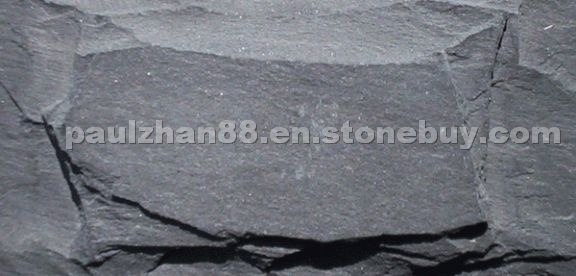 Black slate mushroom Black slate mushroom