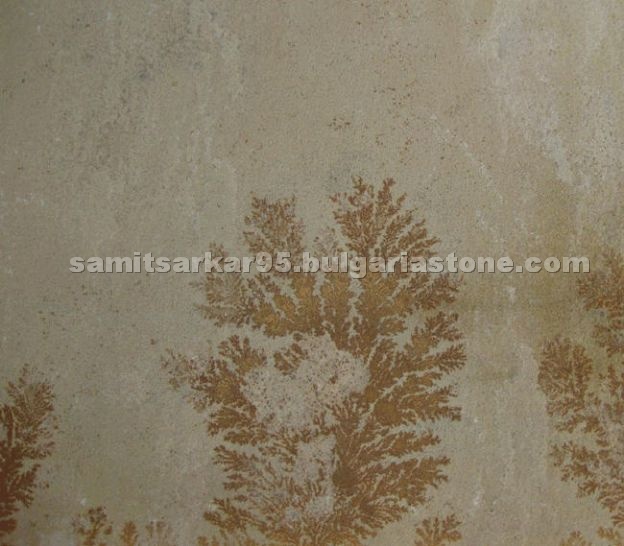Fossil Mint Sandstone