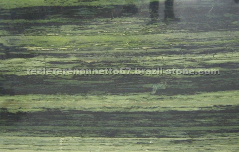Bamboo Green
