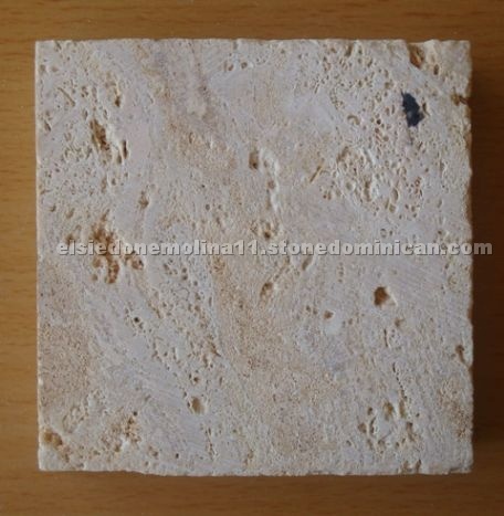 Coralina Gold Natural Coral Stone GCS22