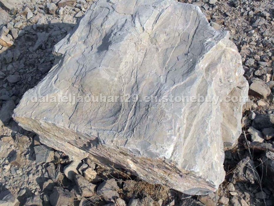 Rocks Limestone