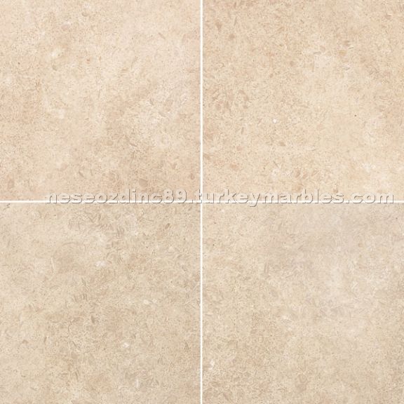 Sea Shell Limestone