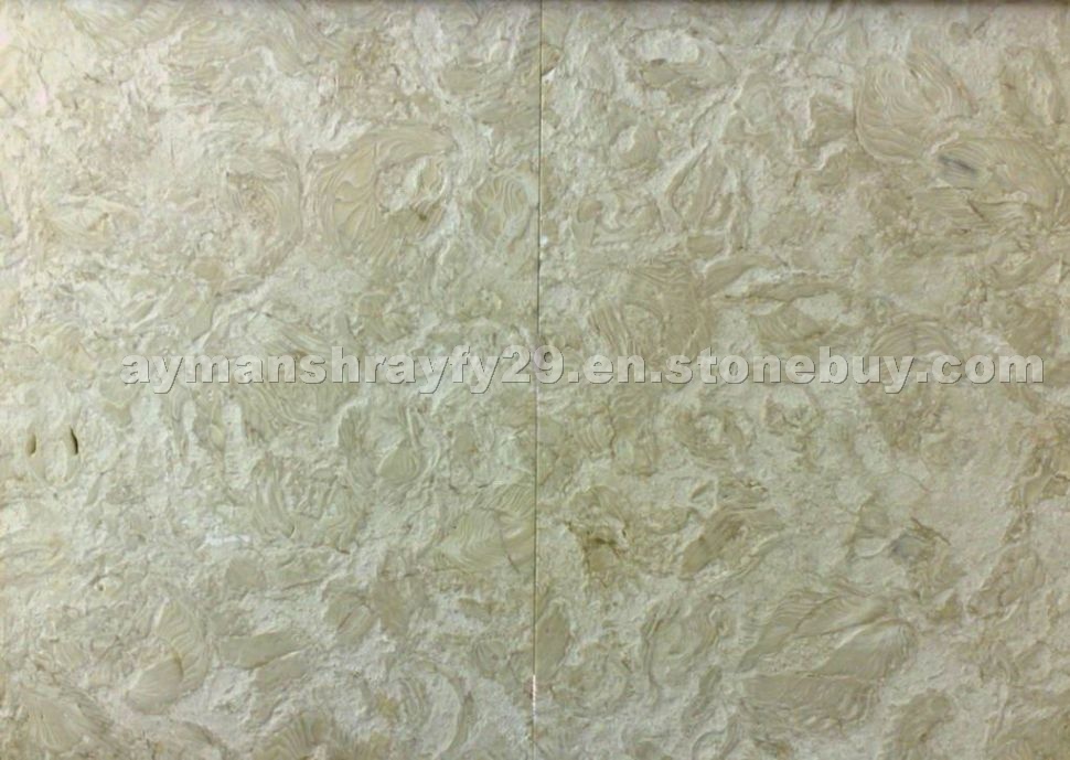 Shells Reef Beige Limestone